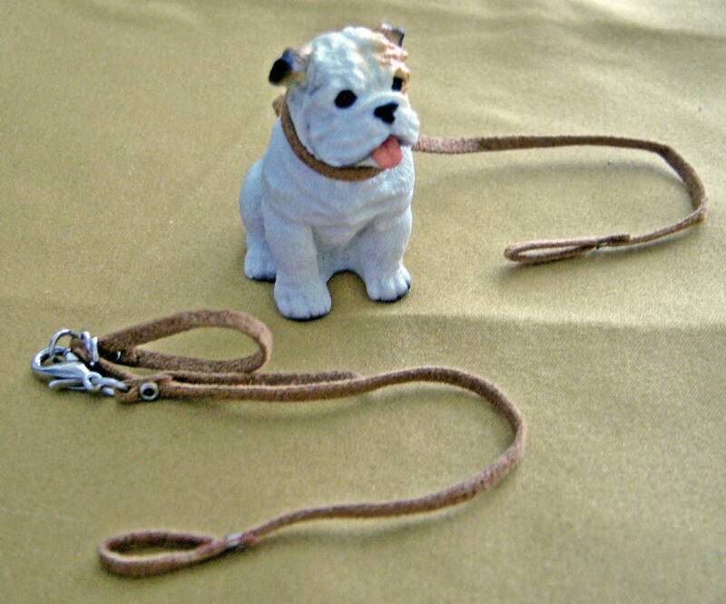 dollhouse white bulldog with brown suede leash