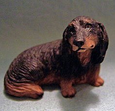 dollhouse dachshund long hair