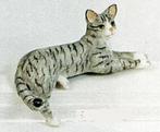 gray tabby dollhouse cat