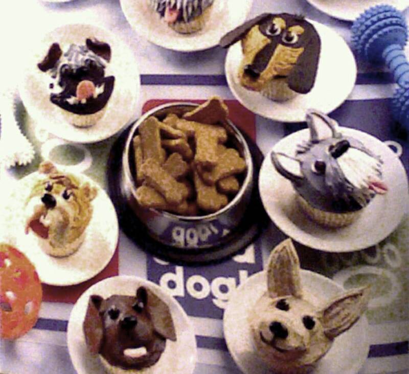 hello cupcake pupcake samples