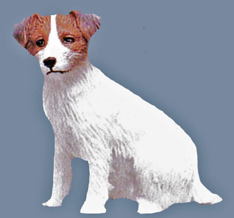 dollhouse jack russell terrier
