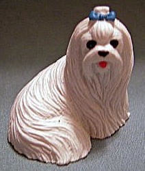 dollhouse Maltese