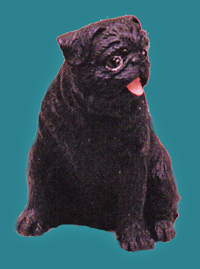 dollhouse pug black