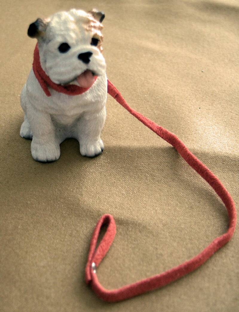 Dollhouse white bukkdog with red suede leash