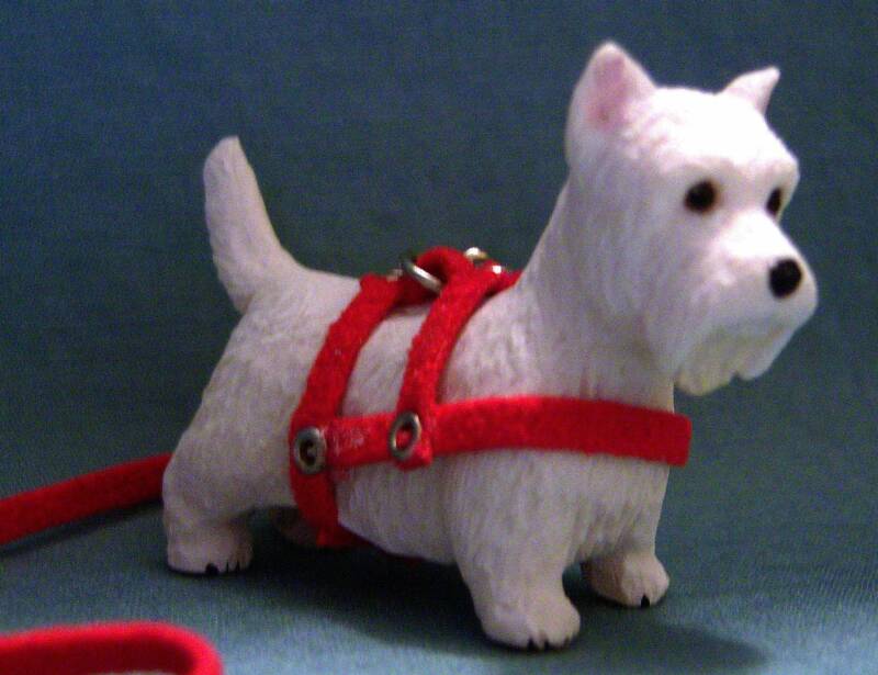 dollhouse white westie in red harness and leash