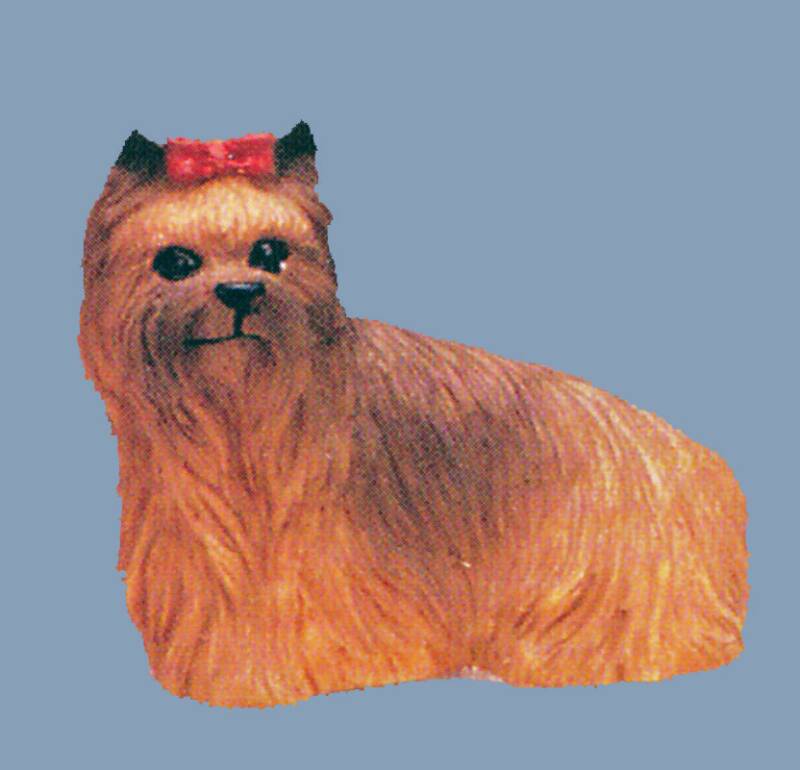 dollhouse Yorkie